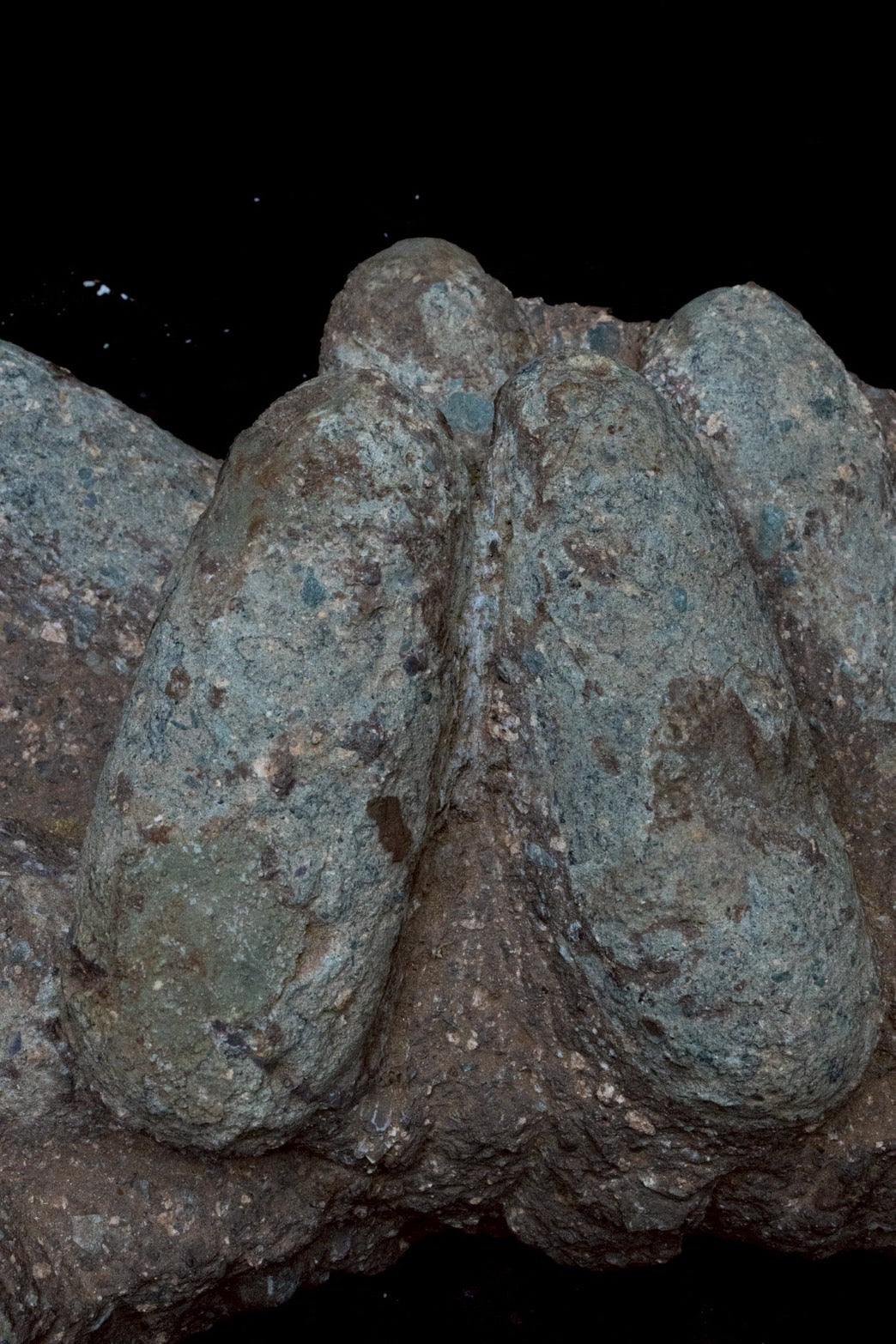 Oviraptor Egg Cluster Fossil – Exceptional Late Cretaceous Predator Nest-2