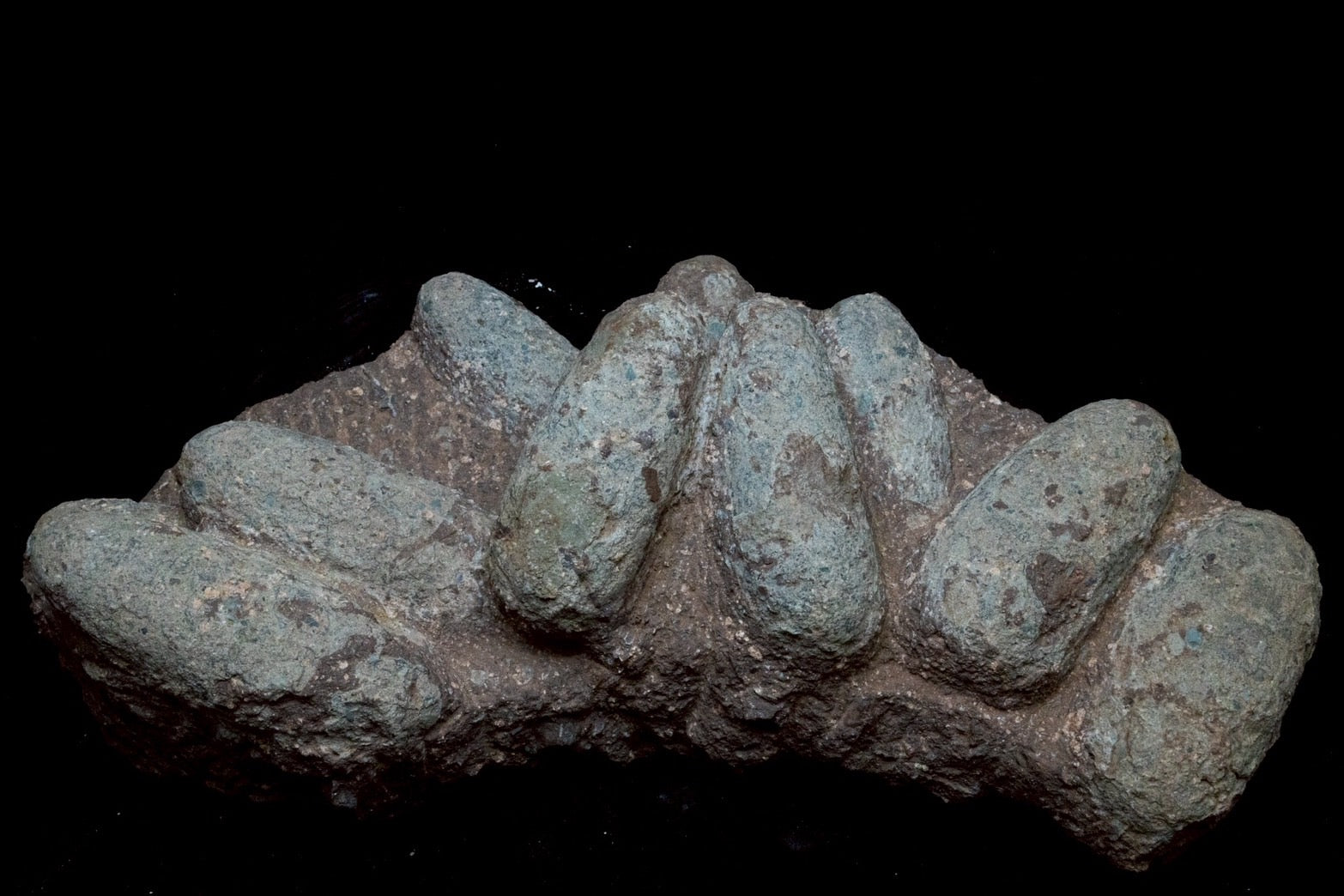 Oviraptor Egg Cluster Fossil – Exceptional Late Cretaceous Predator Nest-2
