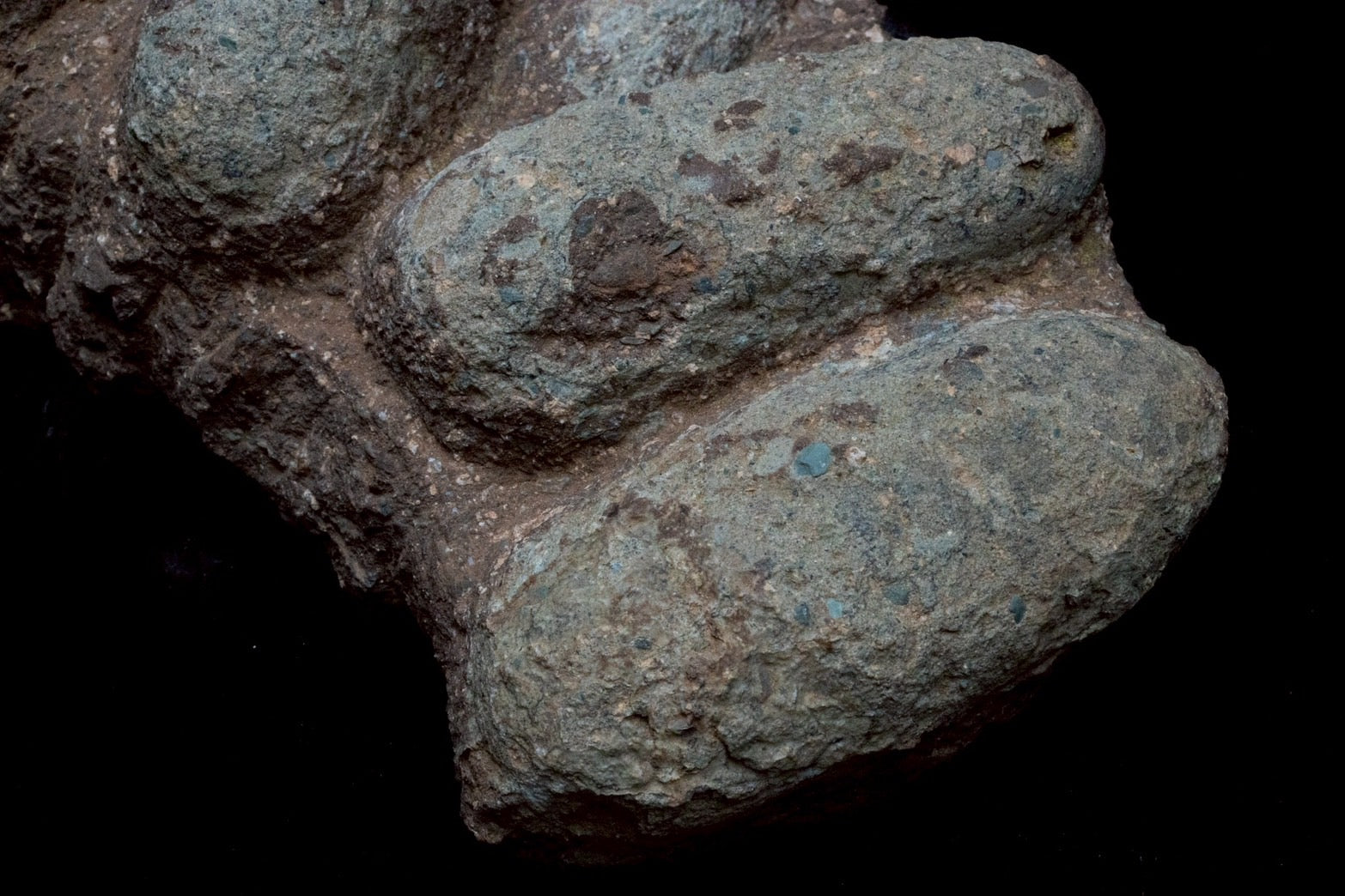 Oviraptor Egg Cluster Fossil – Exceptional Late Cretaceous Predator Nest-2