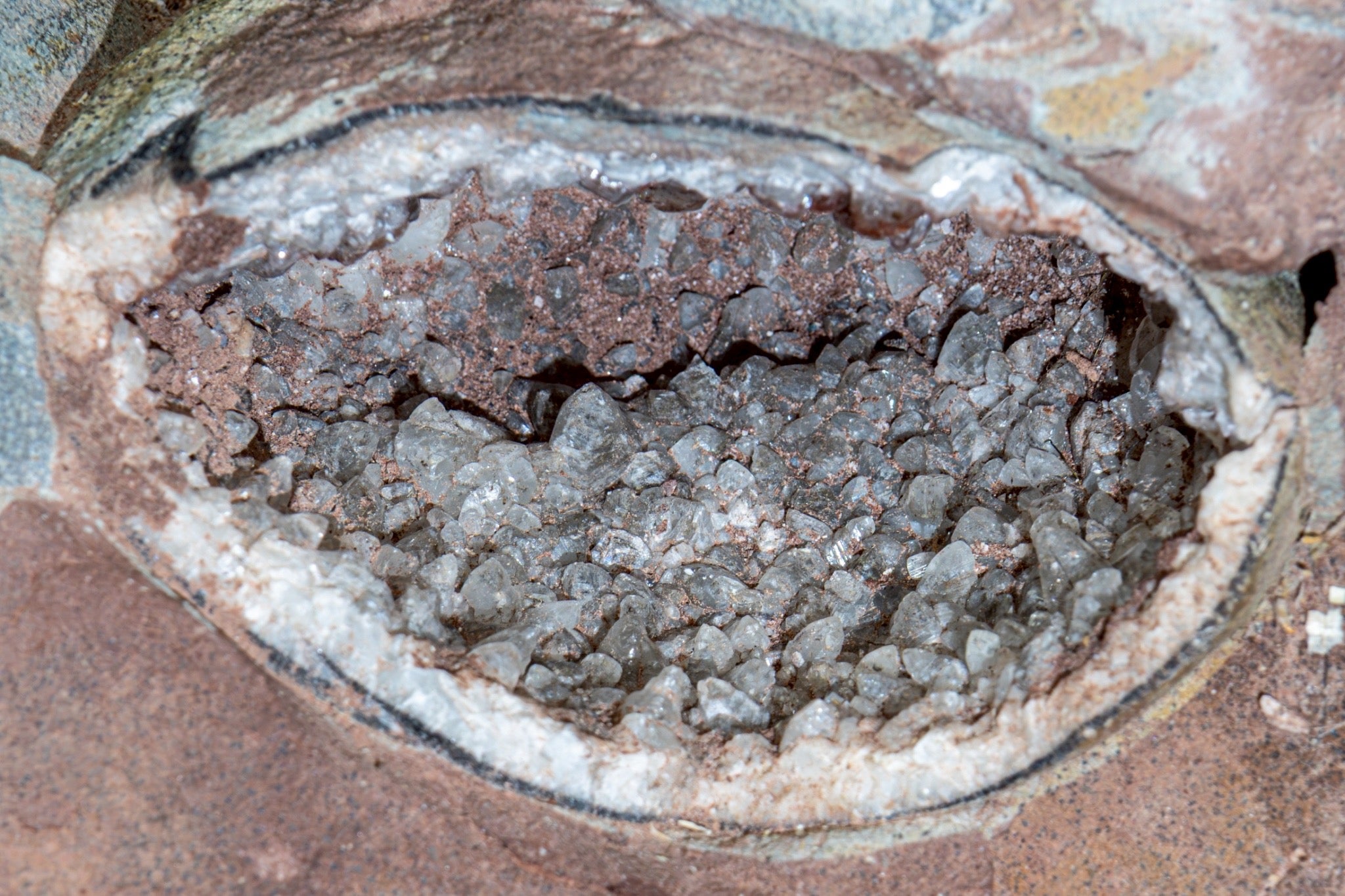 Hadrosaur Egg Fossil Cluster – Rare Late Cretaceous Dinosaur Nest with Crystal Formation