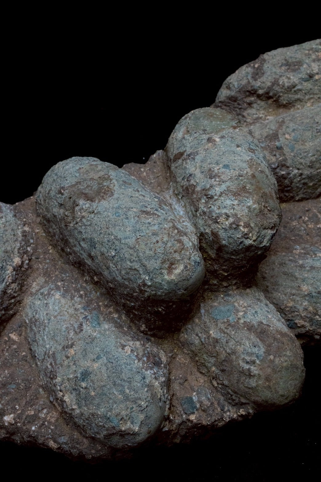 Oviraptor Egg Cluster Fossil – Exceptional Late Cretaceous Predator Nest-2