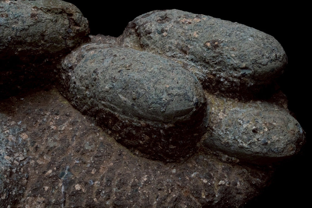 Oviraptor Egg Cluster Fossil – Exceptional Late Cretaceous Predator Nest-2