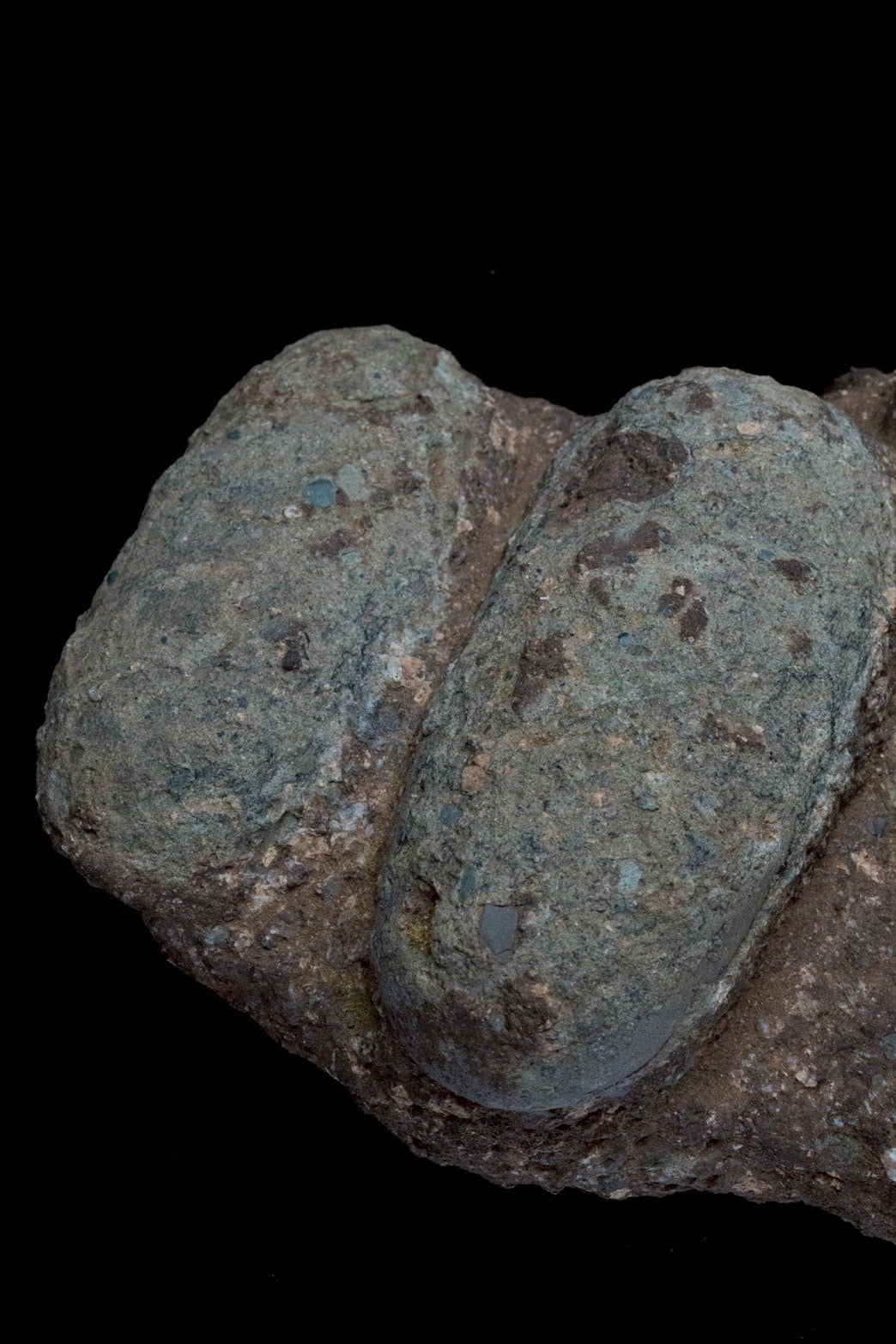 Oviraptor Egg Cluster Fossil – Exceptional Late Cretaceous Predator Nest-2