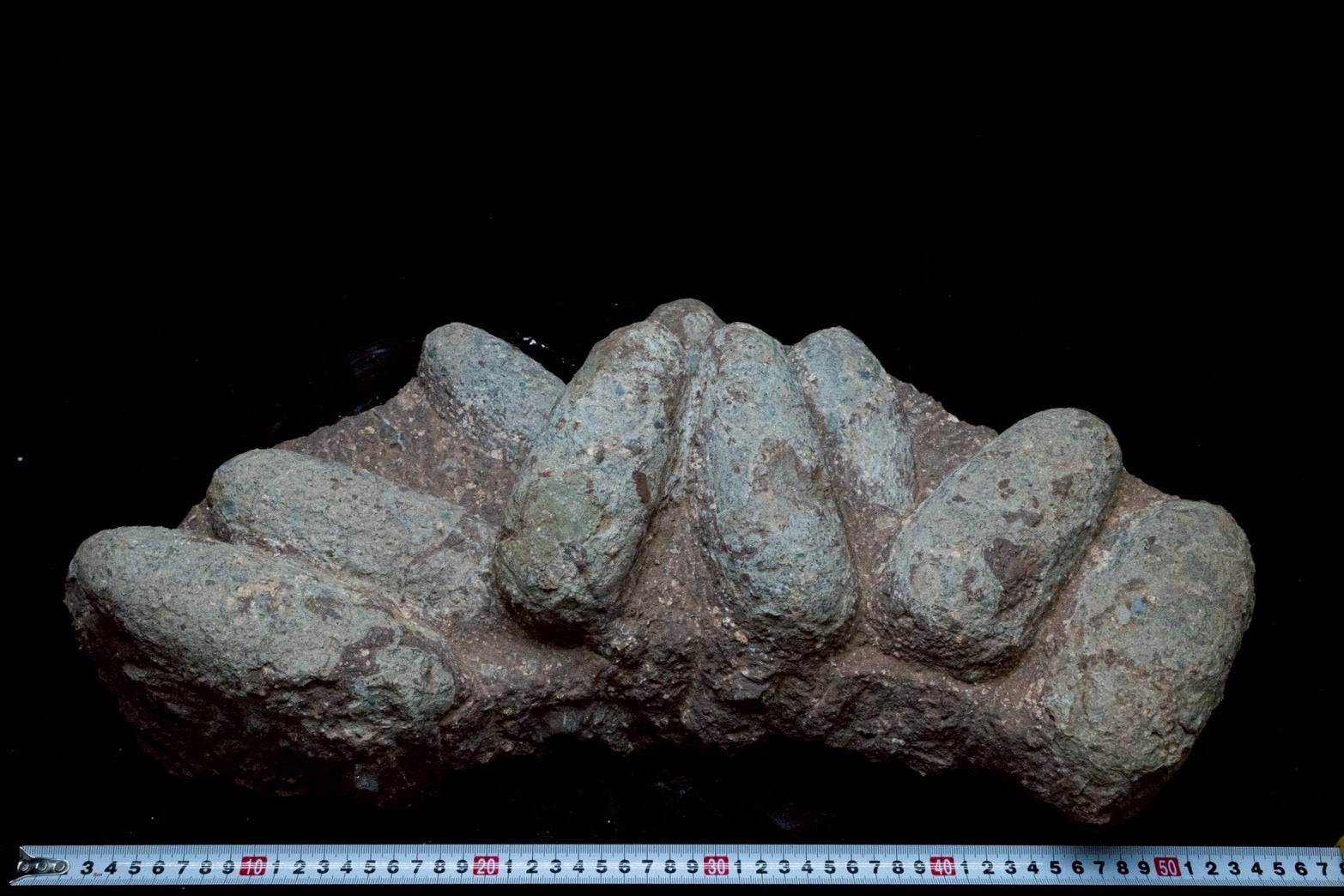 Oviraptor Egg Cluster Fossil – Exceptional Late Cretaceous Predator Nest-2