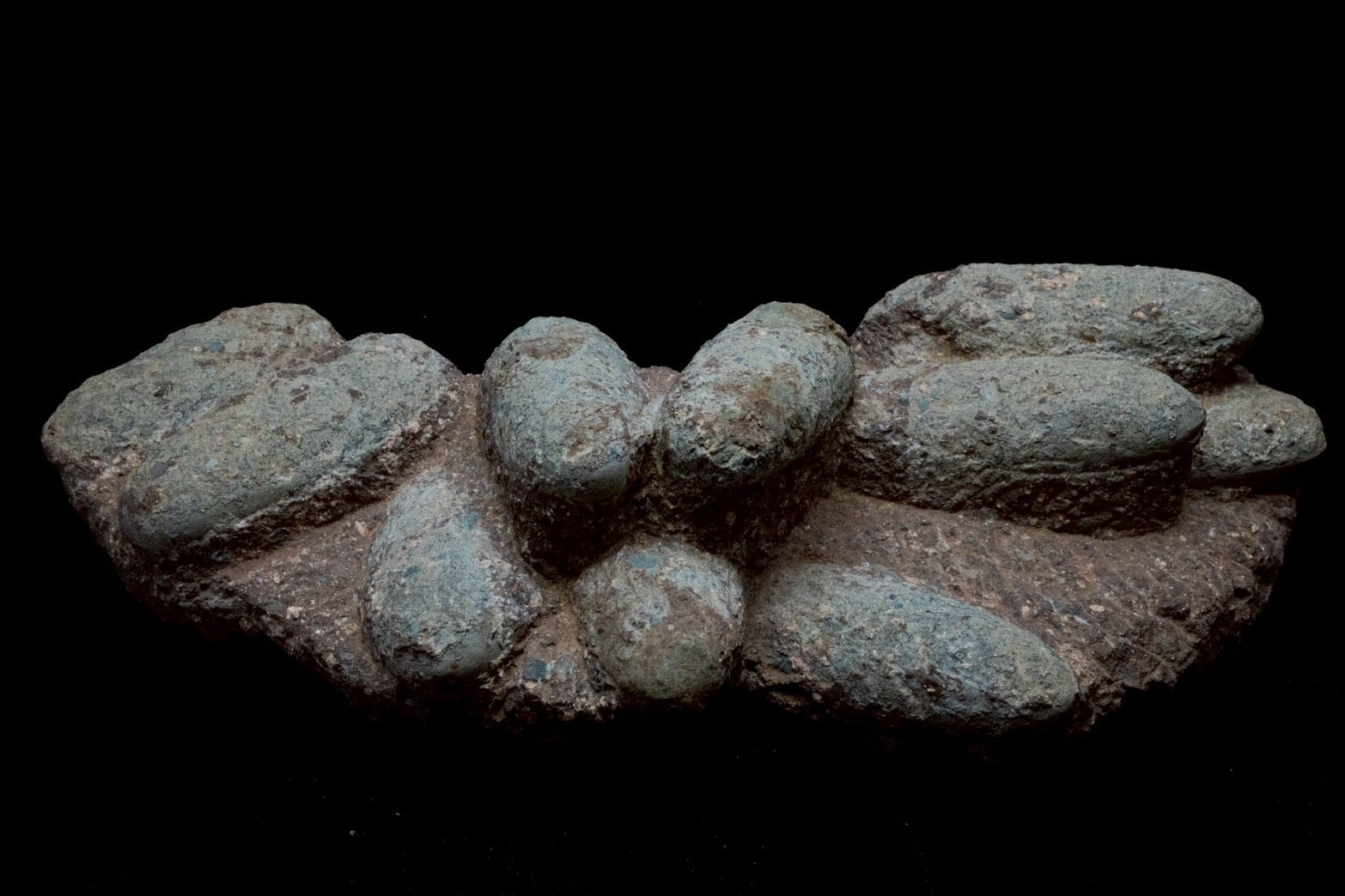 Oviraptor Egg Cluster Fossil – Exceptional Late Cretaceous Predator Nest-2