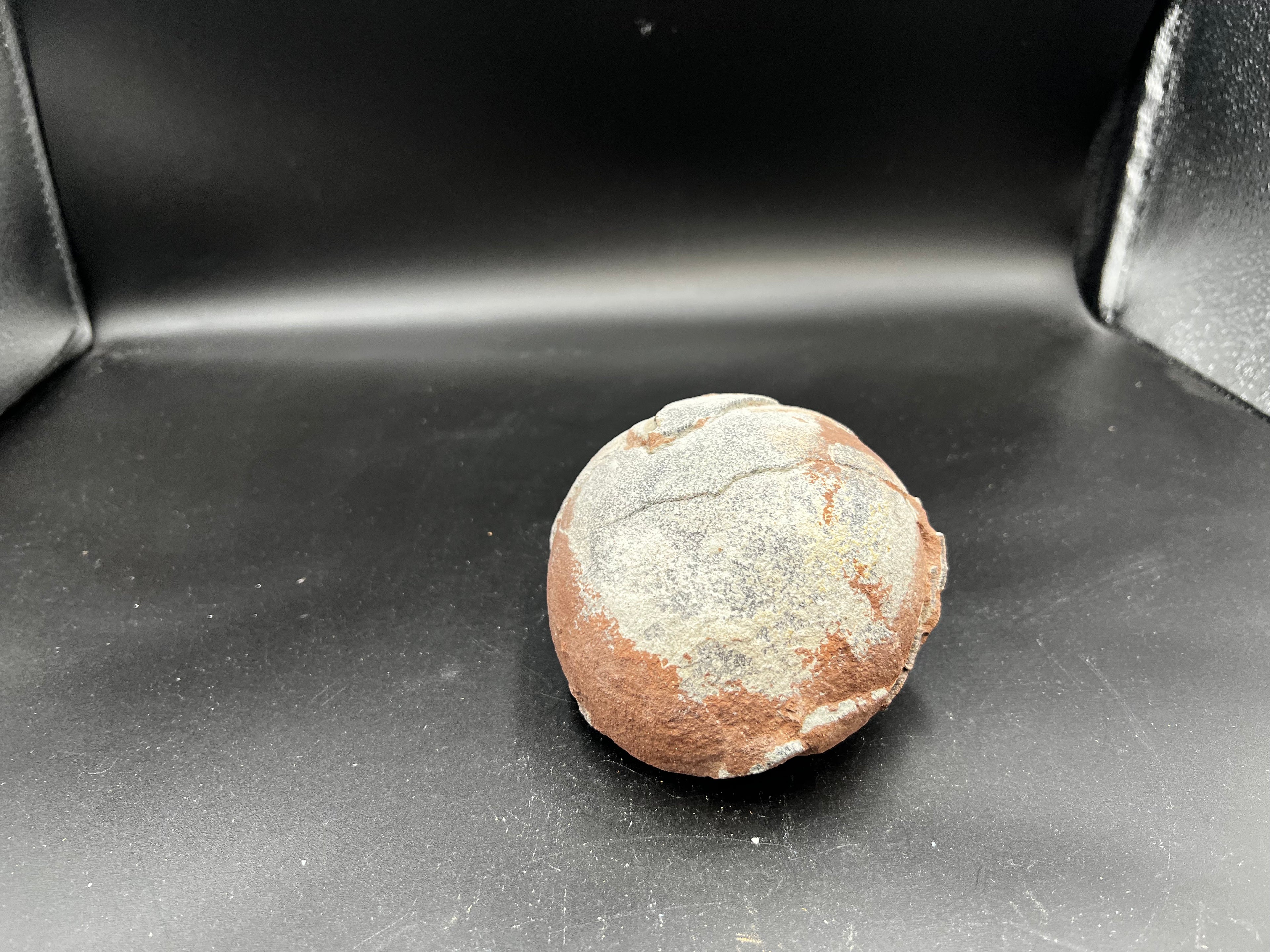 Hadrosaur / Oviraptor Egg Fossil (Single) – Late Cretaceous Dinosaur Relic
