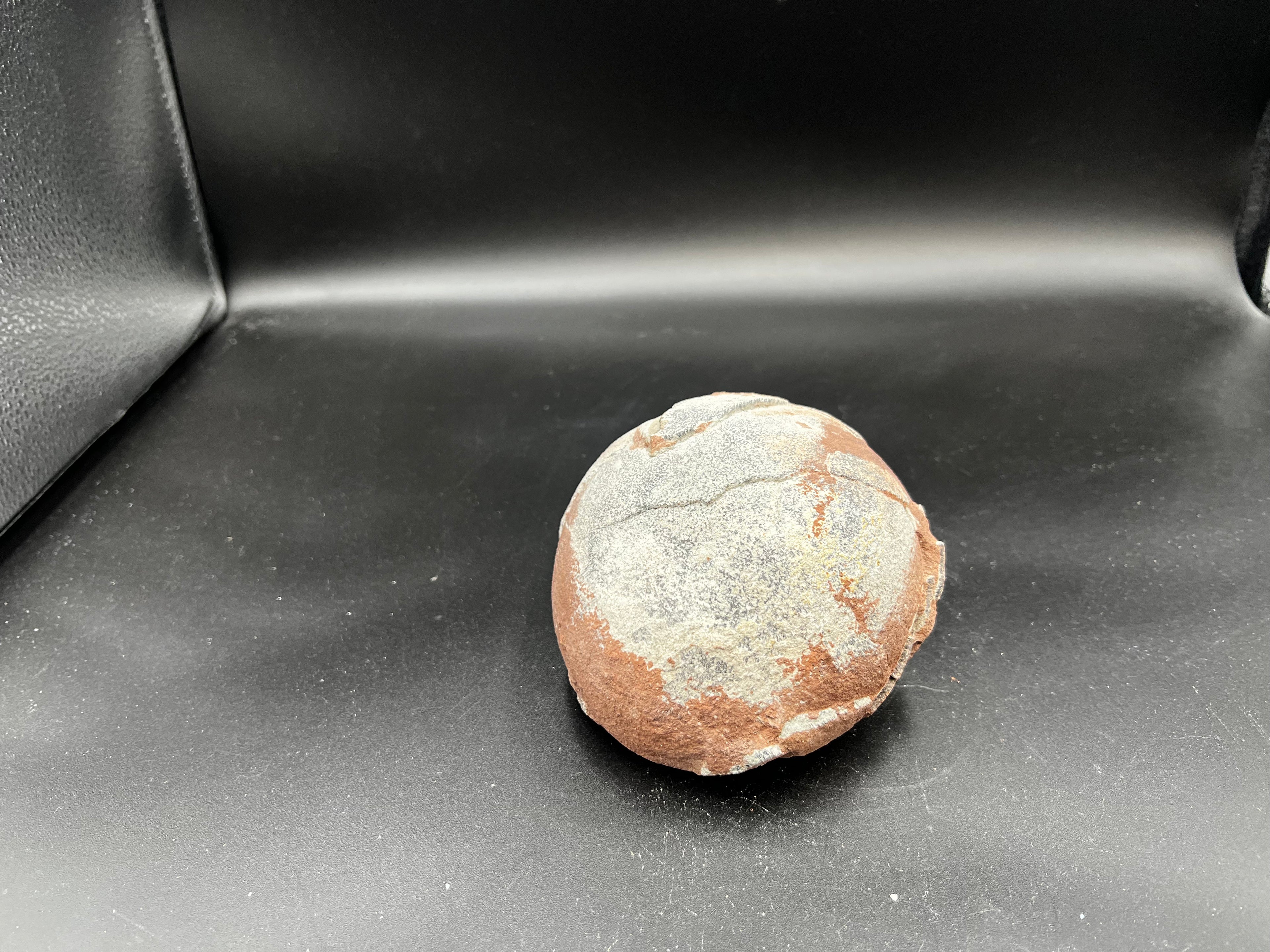 Hadrosaur / Oviraptor Egg Fossil (Single) – Late Cretaceous Dinosaur Relic