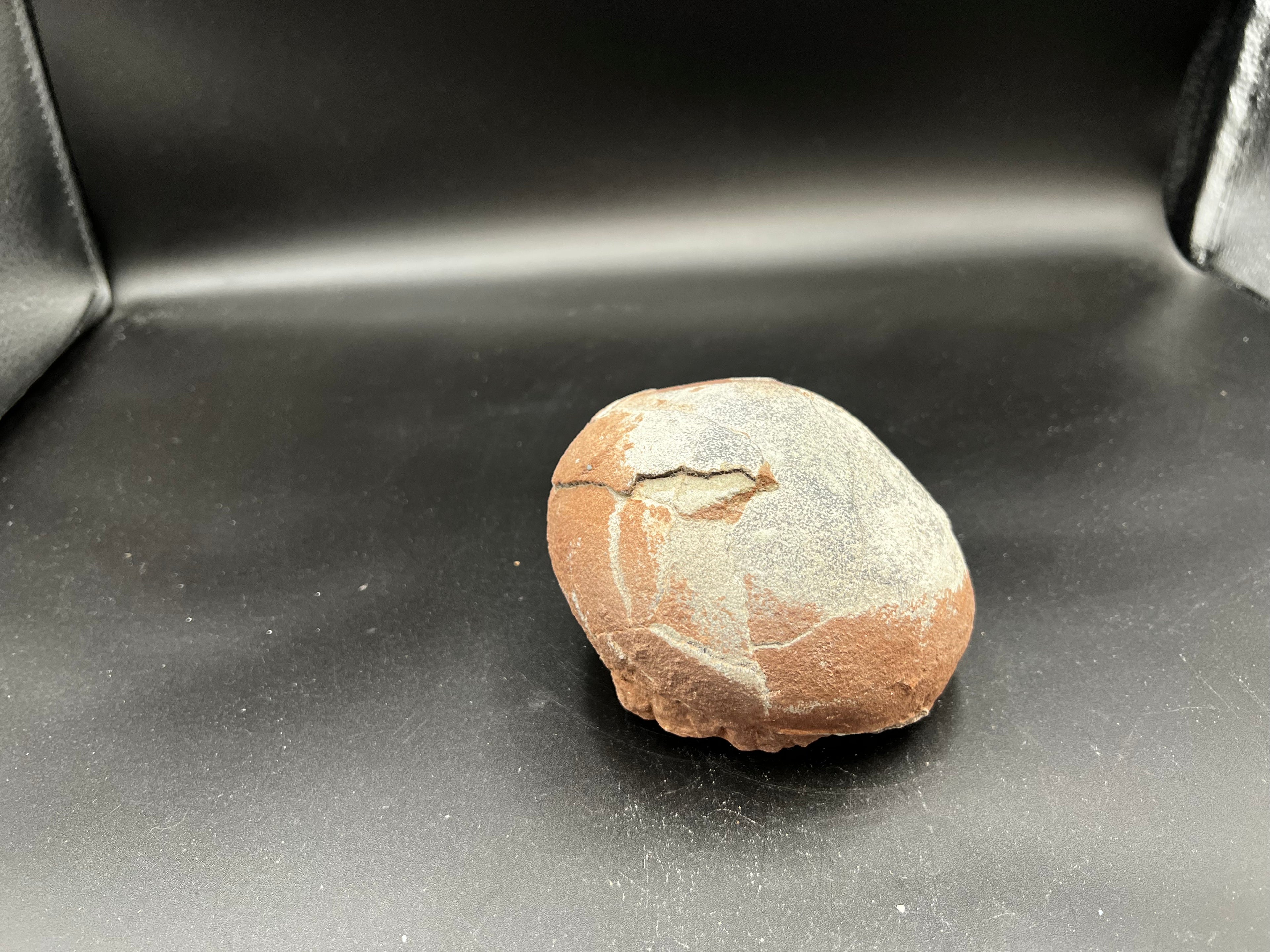 Hadrosaur / Oviraptor Egg Fossil (Single) – Late Cretaceous Dinosaur Relic