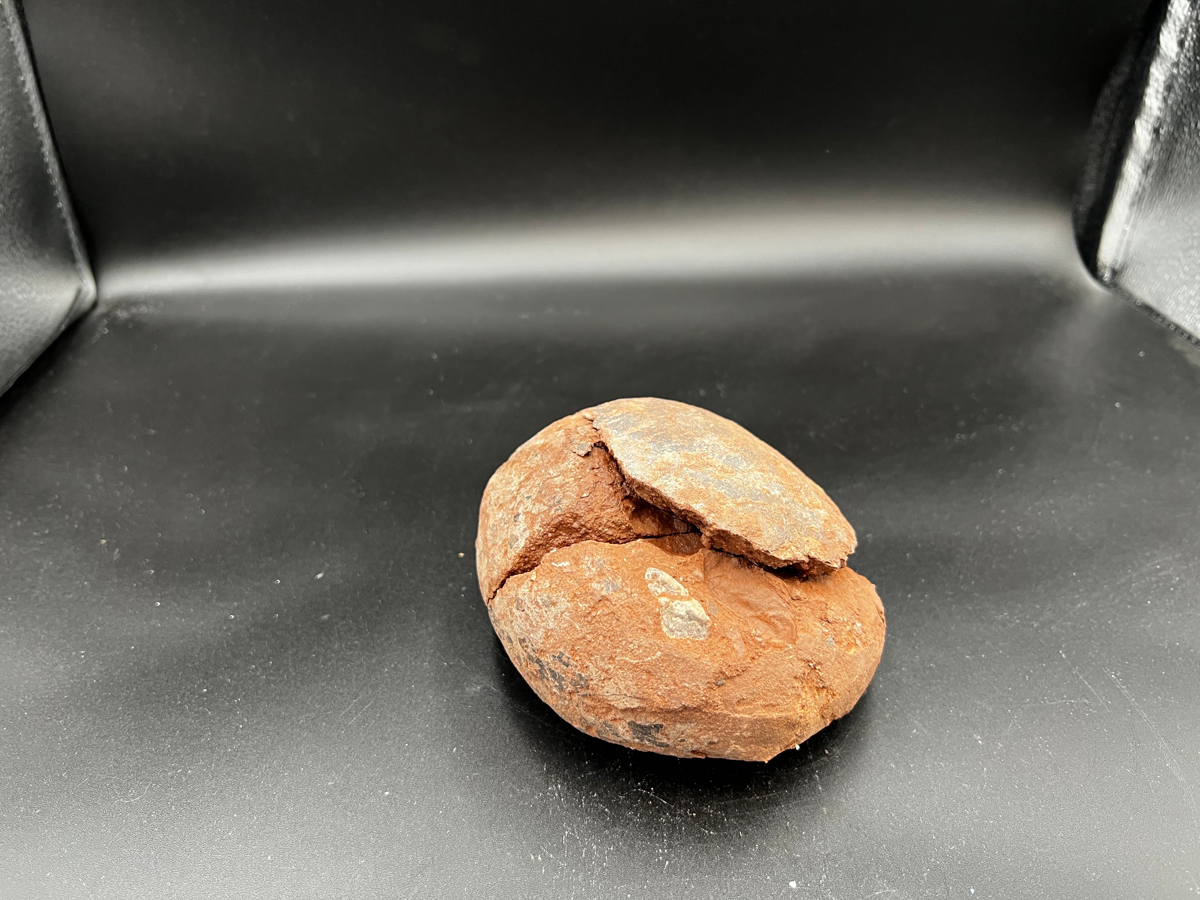 Hadrosaur / Oviraptor Egg Fossil (Single) – Late Cretaceous Dinosaur Relic