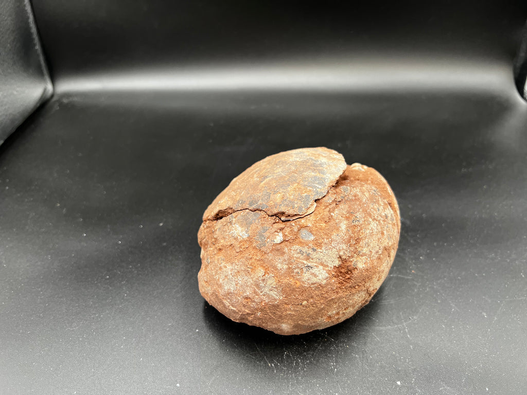Hadrosaur / Oviraptor Egg Fossil (Single) – Late Cretaceous Dinosaur Relic