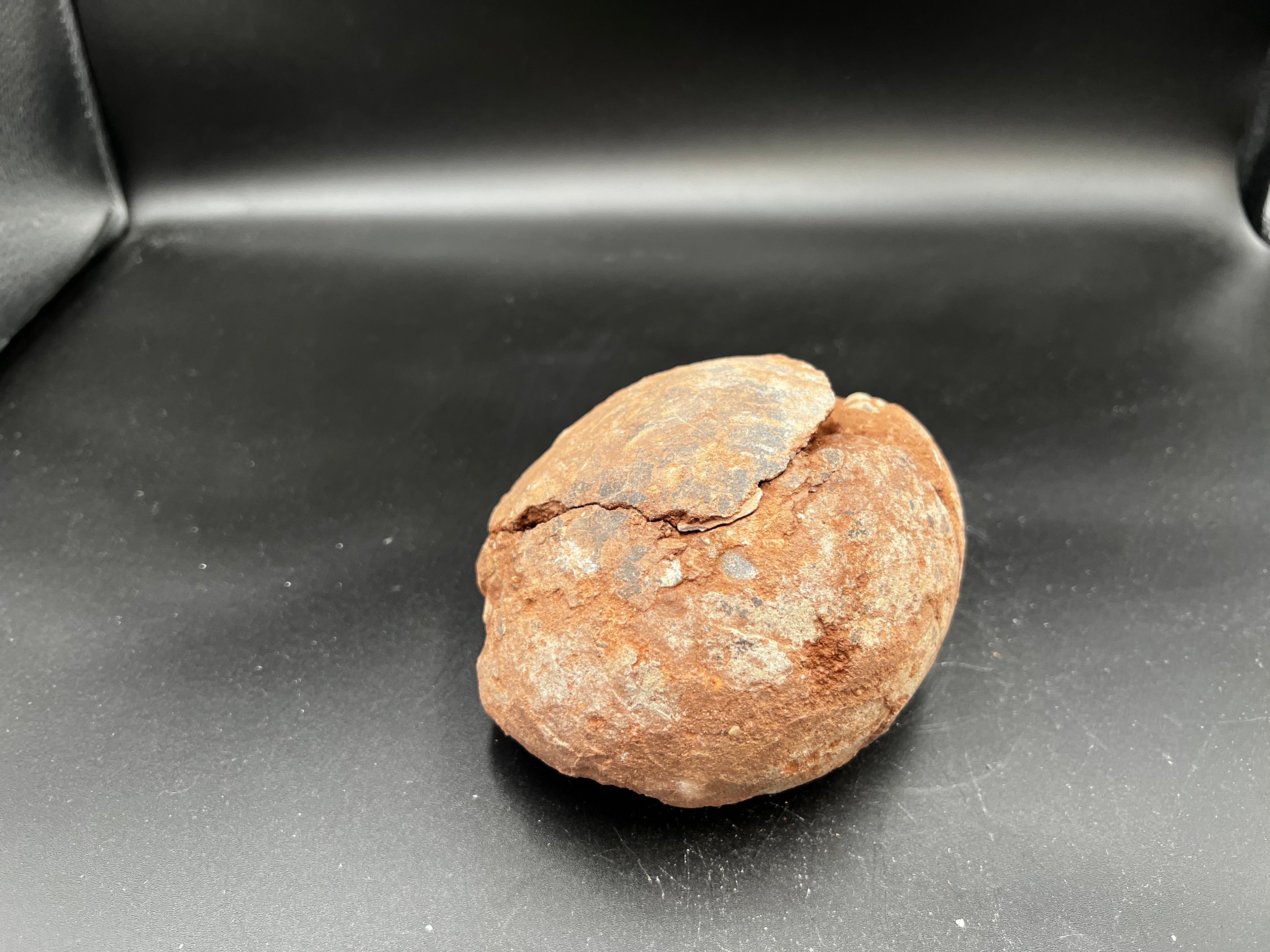 Hadrosaur / Oviraptor Egg Fossil (Single) – Late Cretaceous Dinosaur Relic