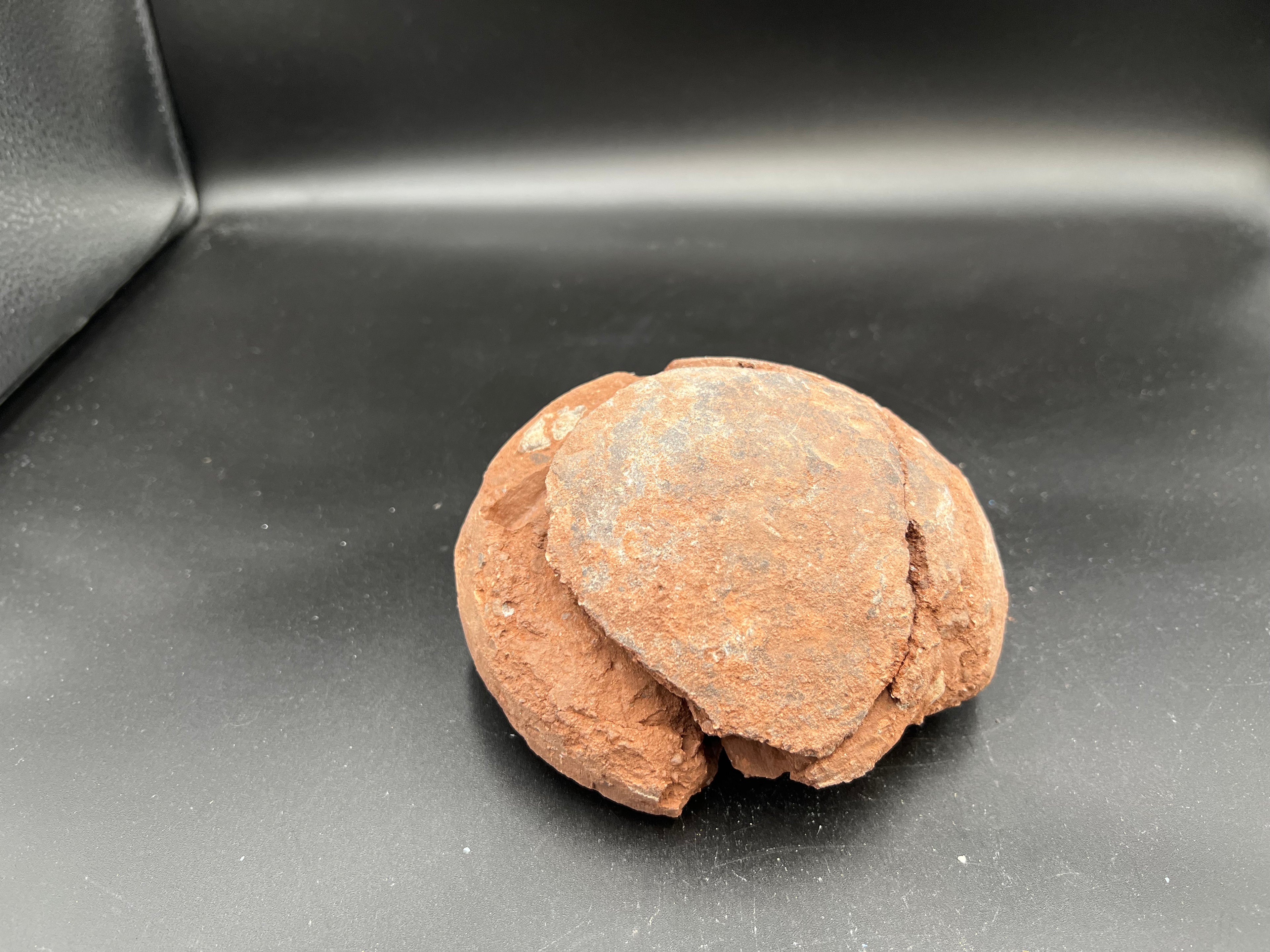 Hadrosaur / Oviraptor Egg Fossil (Single) – Late Cretaceous Dinosaur Relic