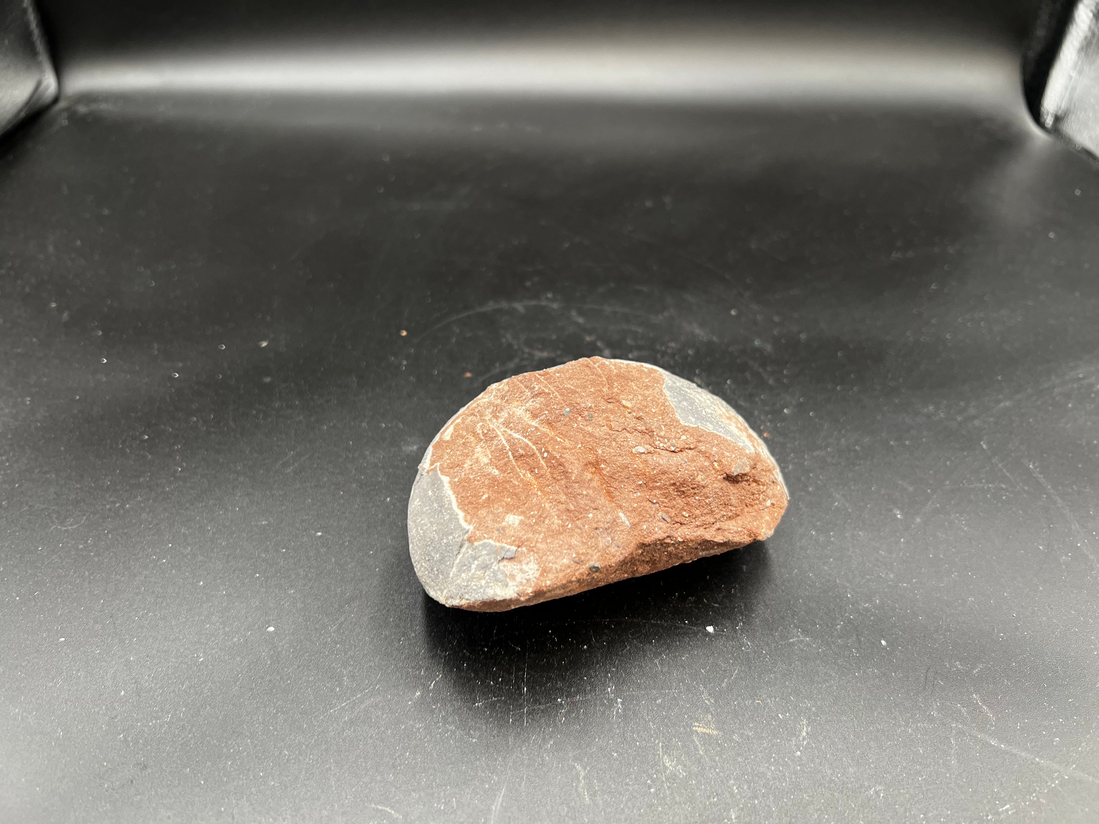 Hadrosaur / Oviraptor Egg Fossil (Single) – Late Cretaceous Dinosaur Relic