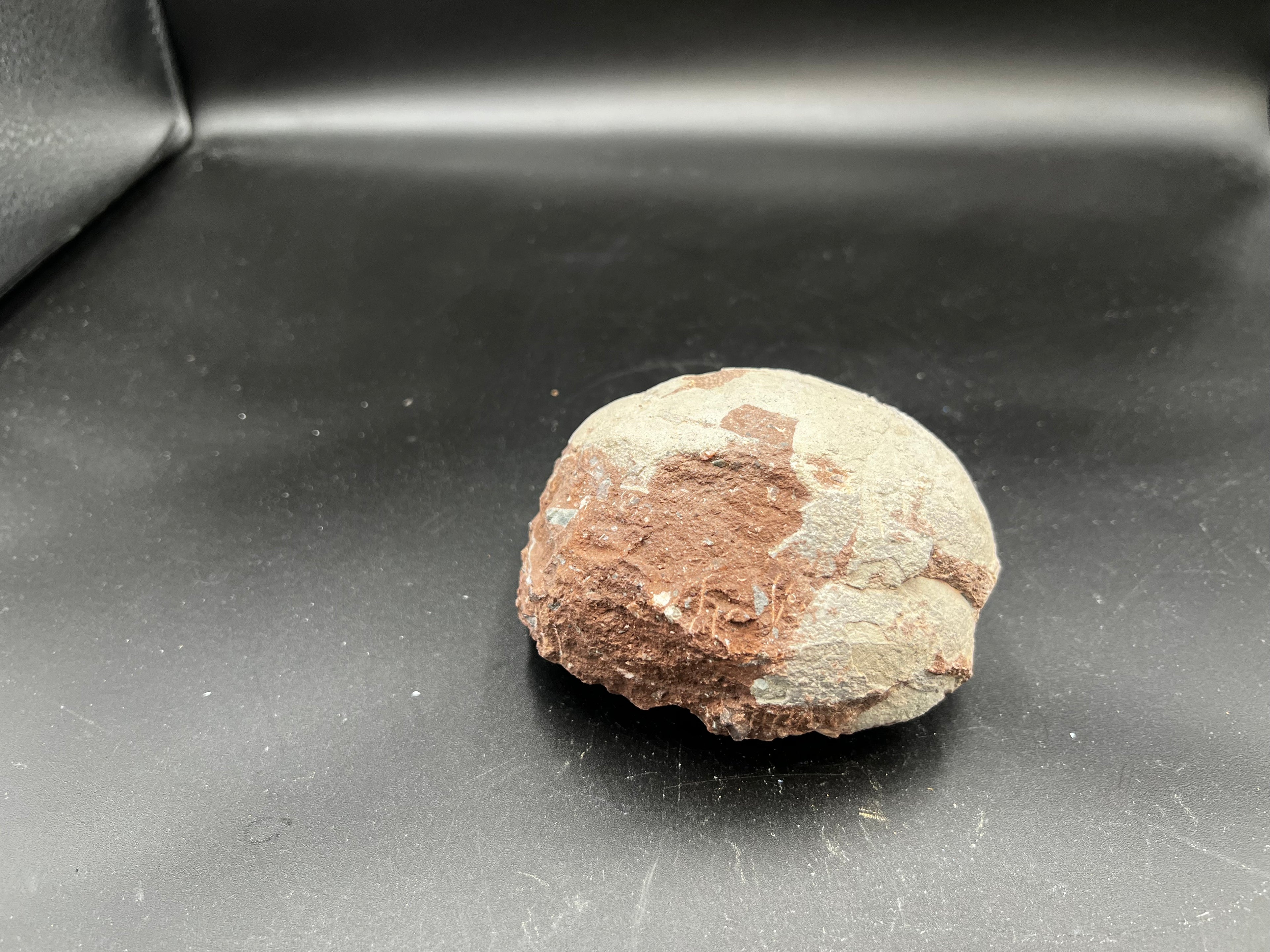 Hadrosaur / Oviraptor Egg Fossil (Single) – Late Cretaceous Dinosaur Relic