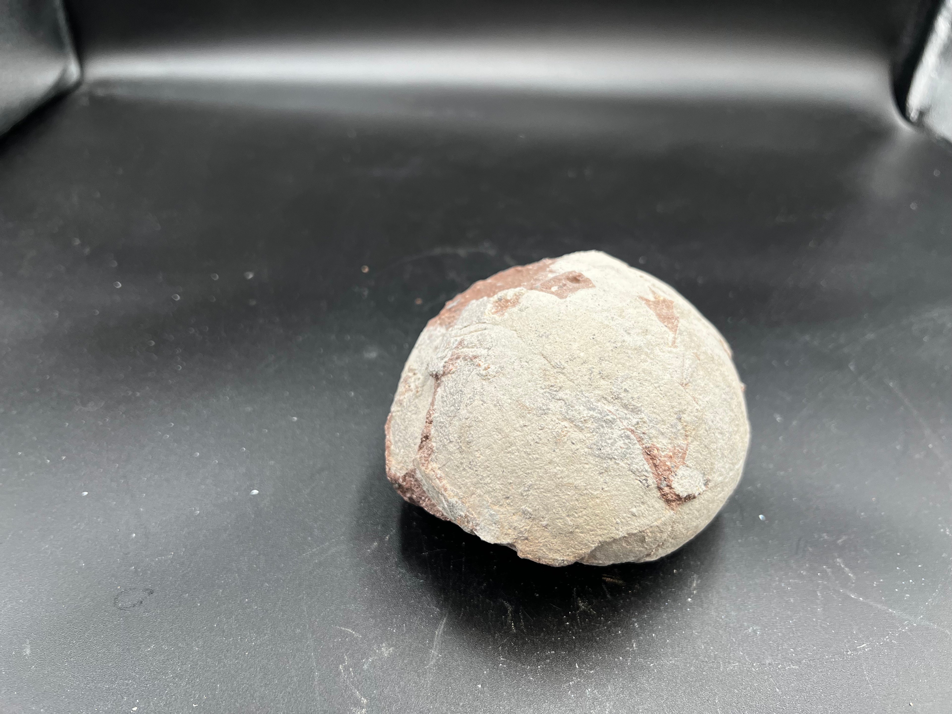 Hadrosaur / Oviraptor Egg Fossil (Single) – Late Cretaceous Dinosaur Relic