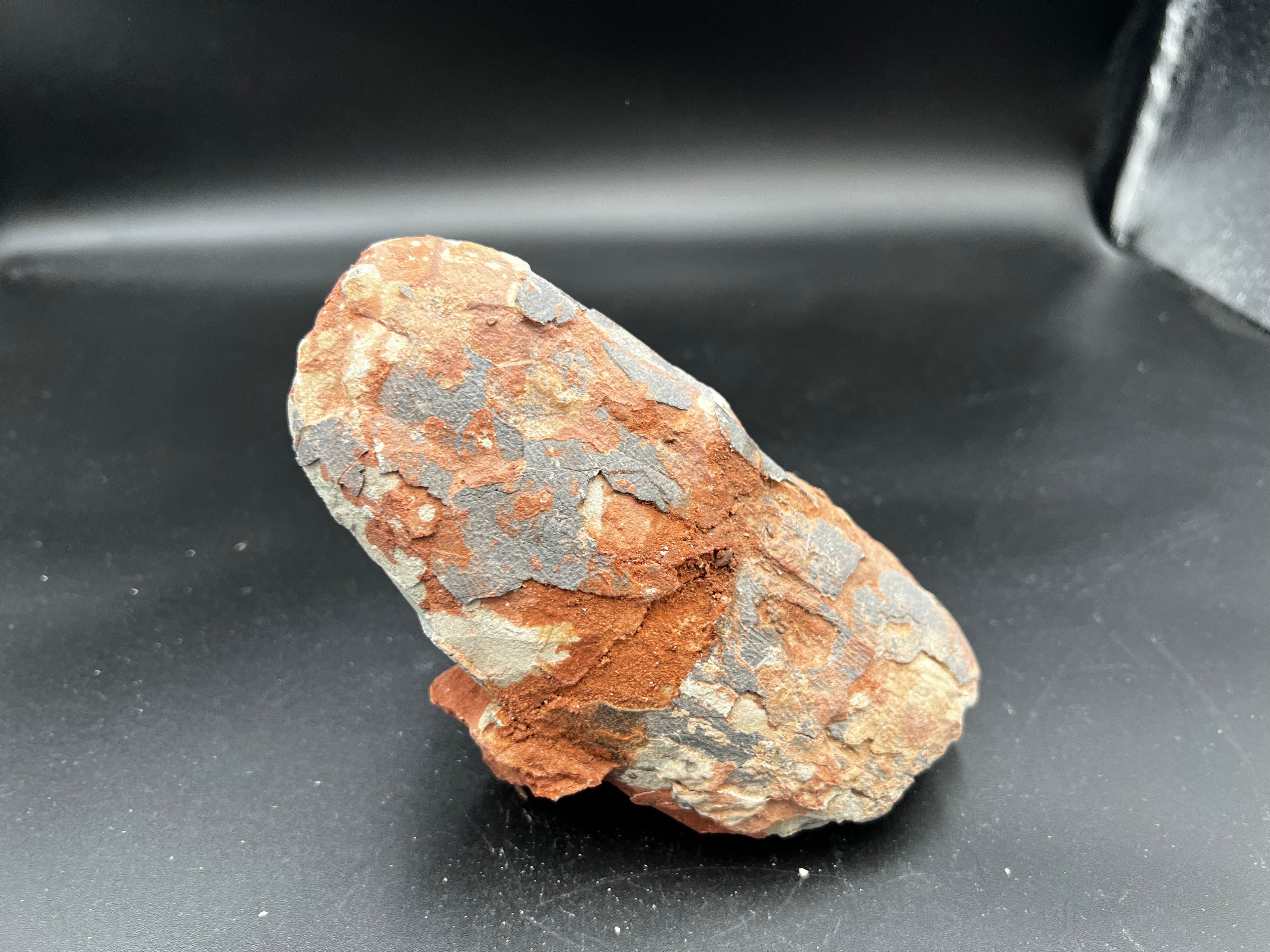 Hadrosaur / Oviraptor Egg Fossil (Single) – Late Cretaceous Dinosaur Relic