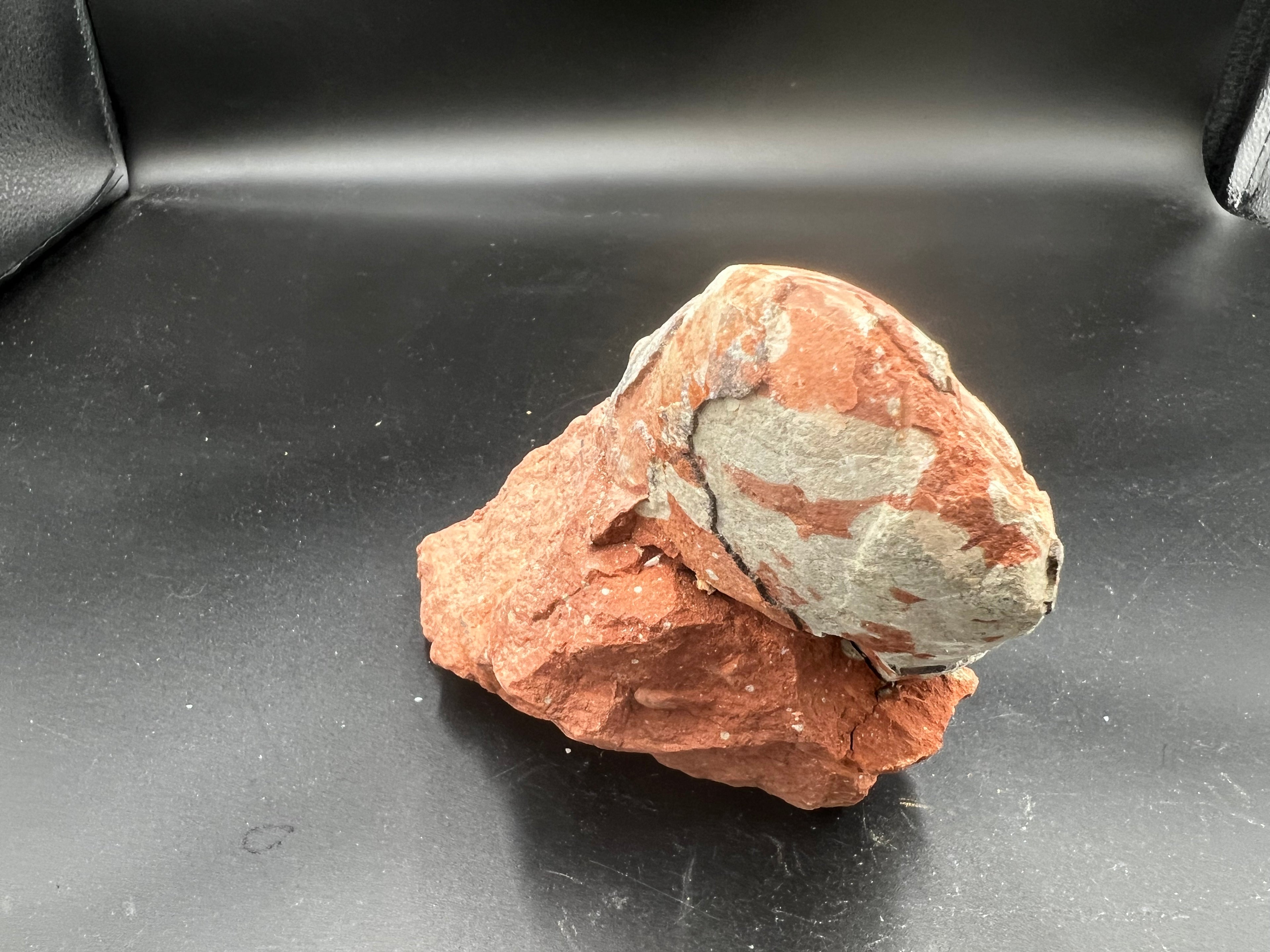 Hadrosaur / Oviraptor Egg Fossil (Single) – Late Cretaceous Dinosaur Relic