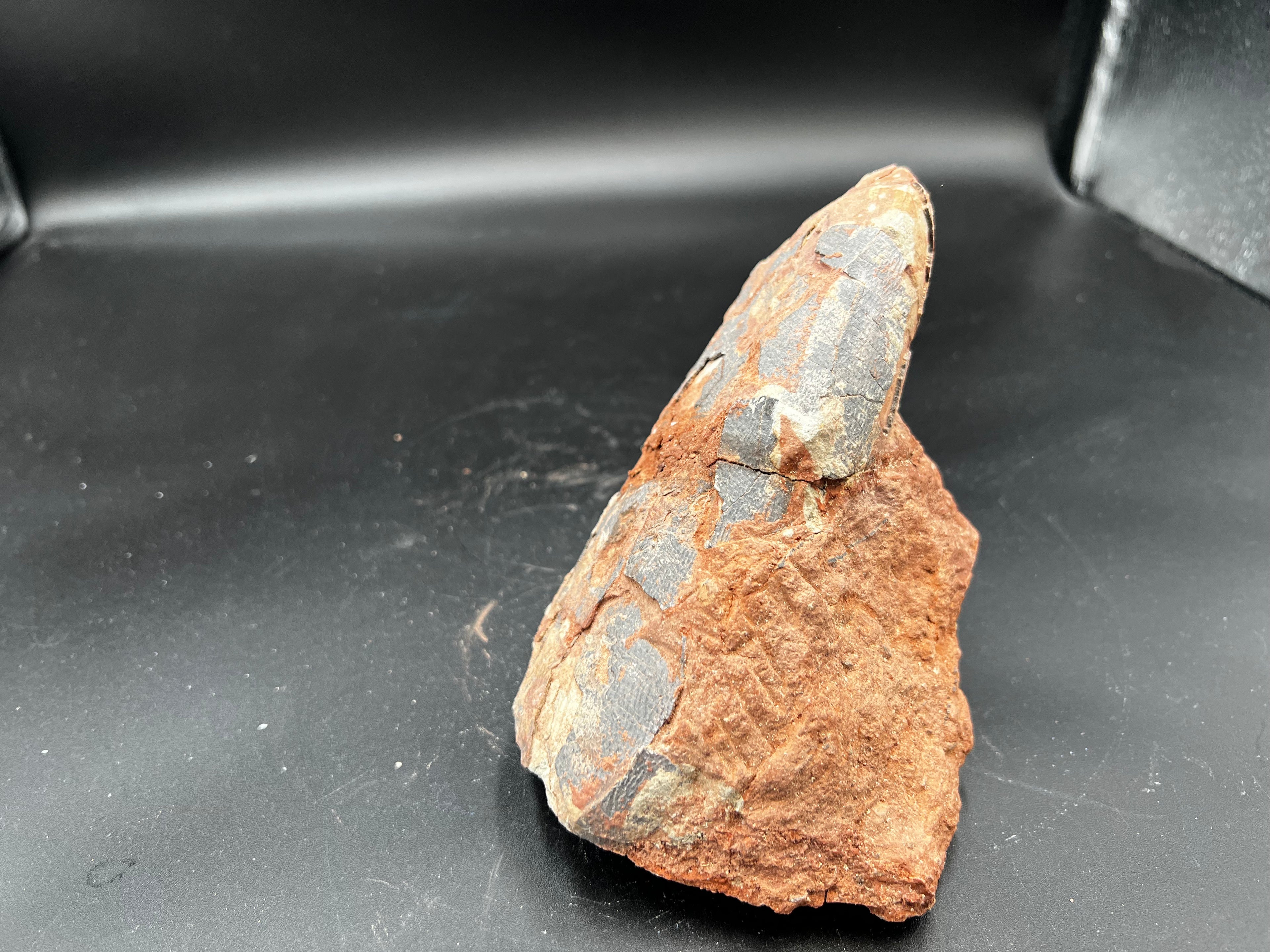 Hadrosaur / Oviraptor Egg Fossil (Single) – Late Cretaceous Dinosaur Relic