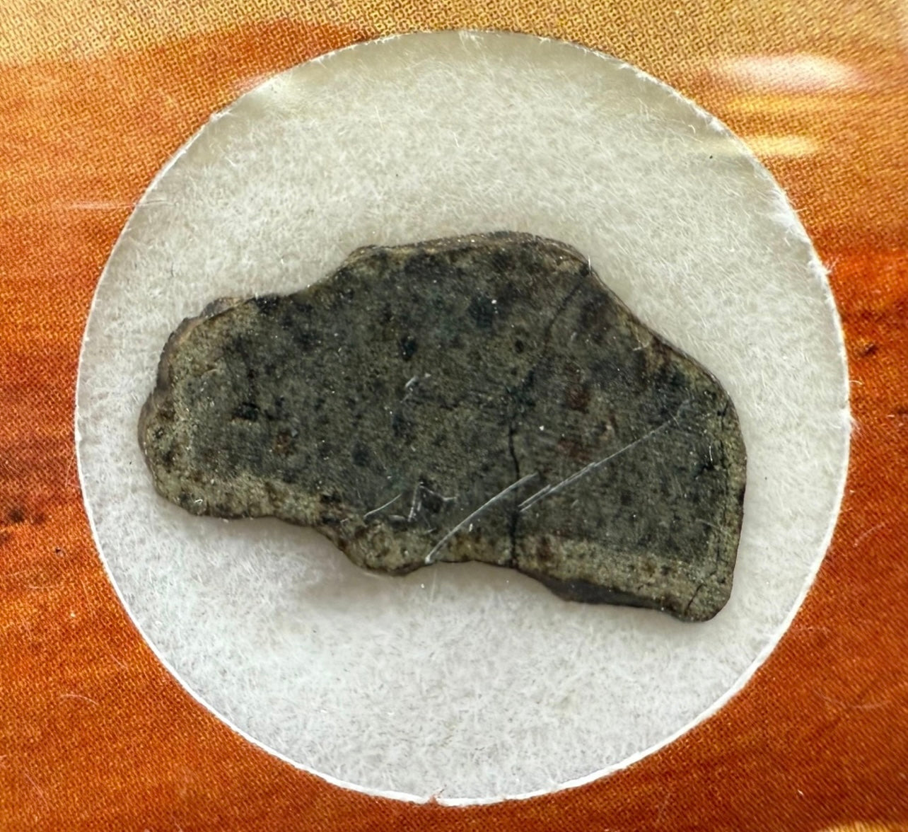 Only 49 USD 🚀 Martian Meteorite (Amgala 001) | Shergottite (Olivine-Phyric)
